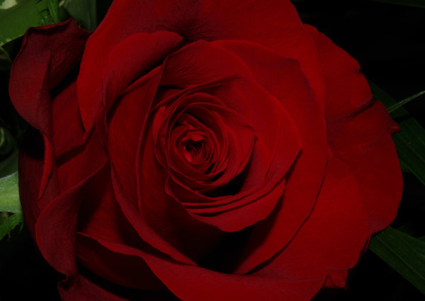 Layers of Love