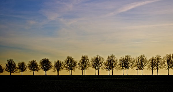 line up