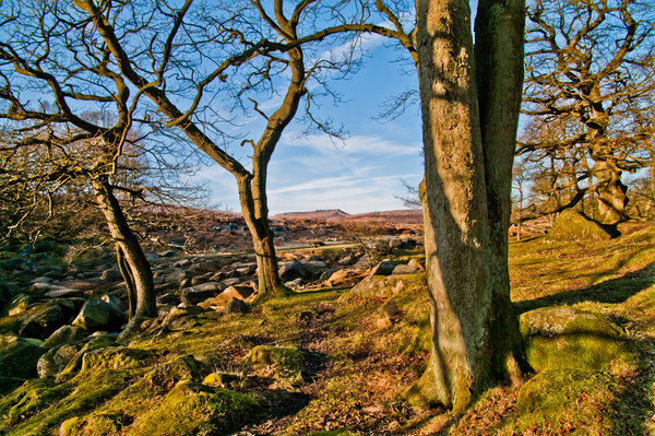 Padley Gorge