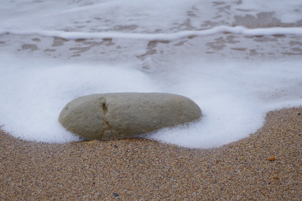 Pebble Whale