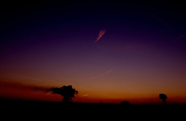 Pre-dawn