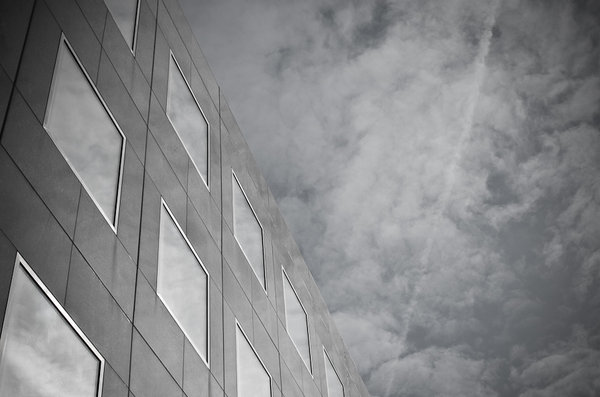 Reflected Skies