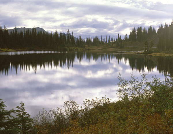 Reflection Lake ( USA)