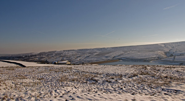 Snow Farm