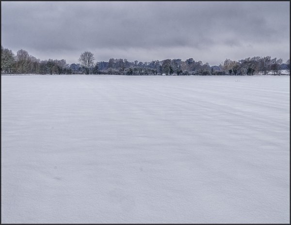 Snow Field