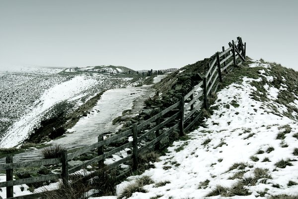 The Fence Line