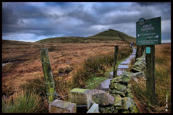 The Path to the Top