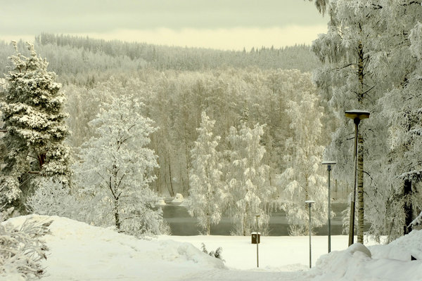 View to the river