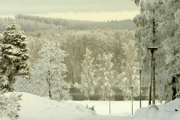 View to the river