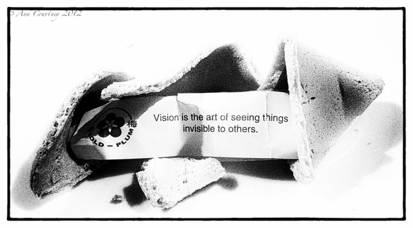 Vision