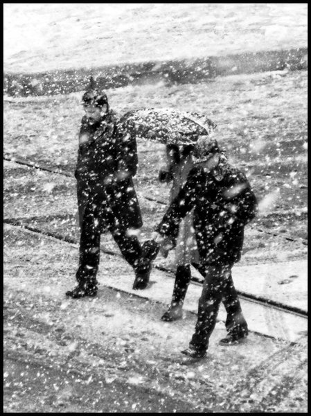 Walkers in Snow