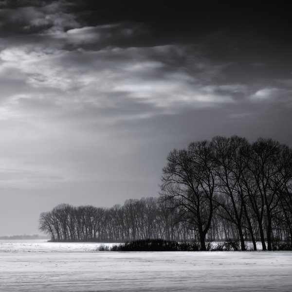 Windbreaks
