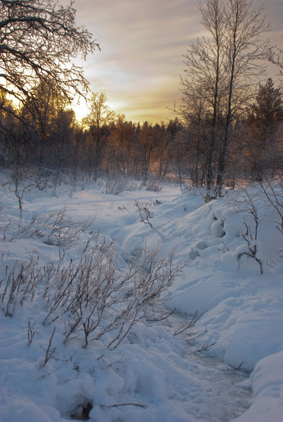 winter chill