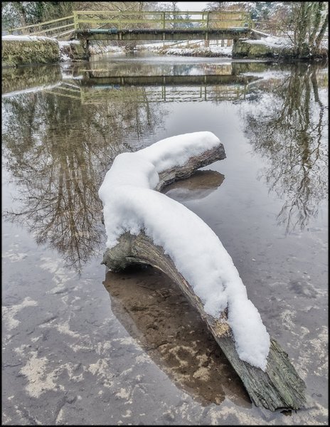 Winter Log