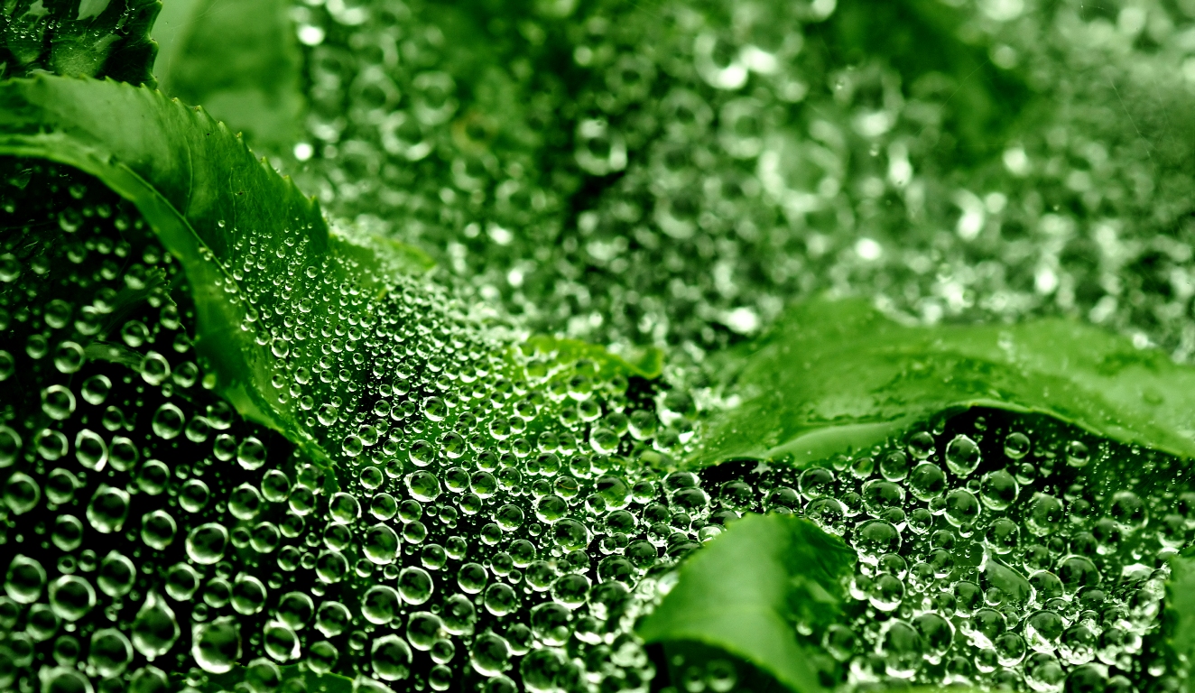 Drops