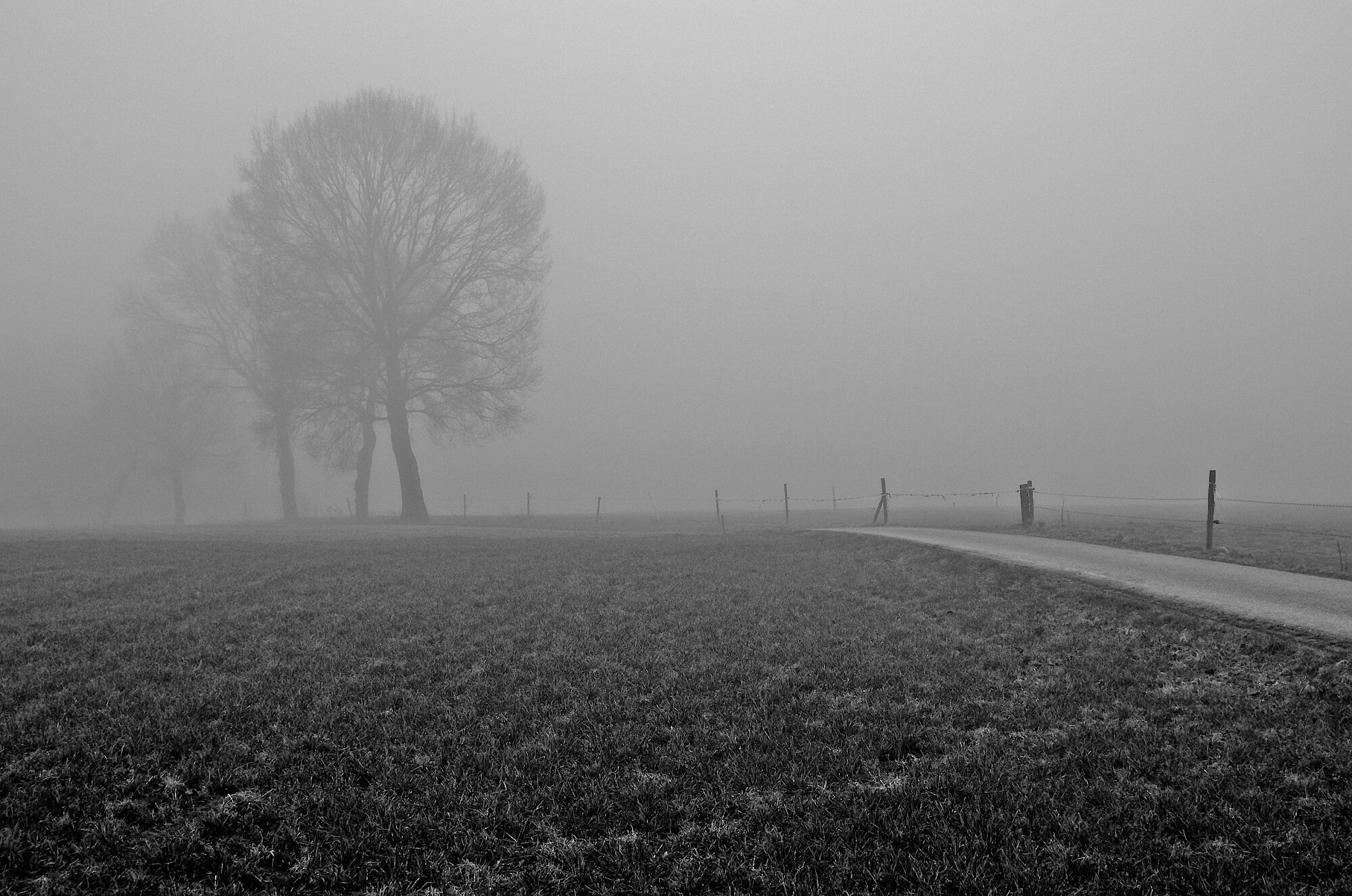 Mist Again!