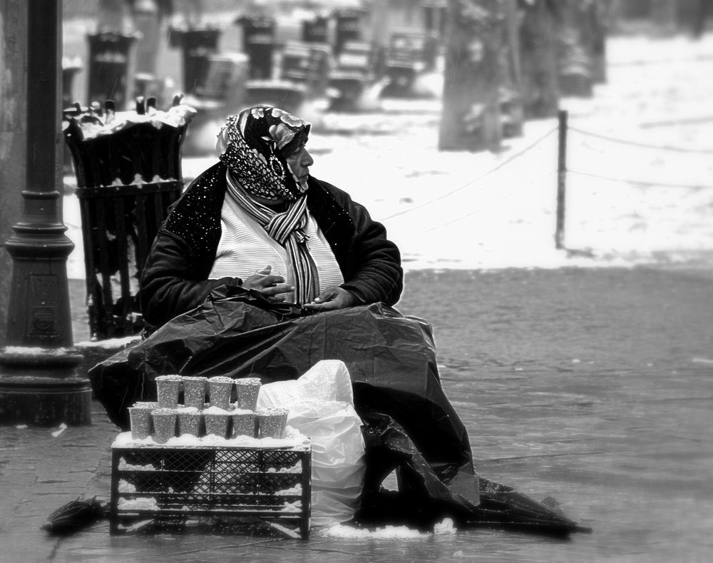 Despite the cold #3