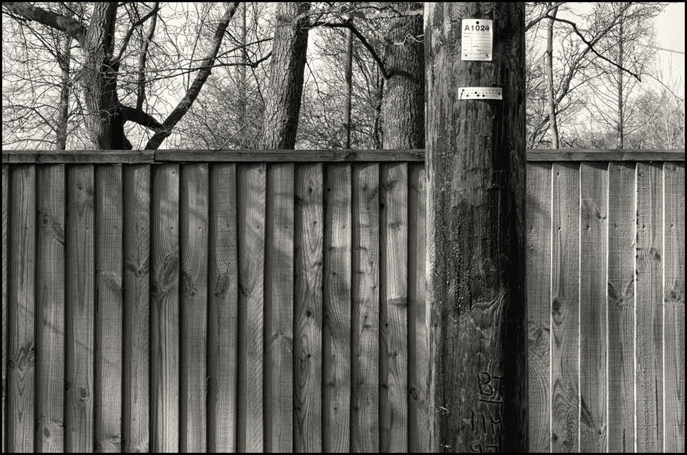 Dont you just love the rule of thirds???
