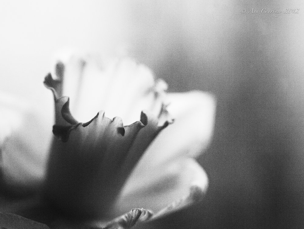 Sign of Spring.