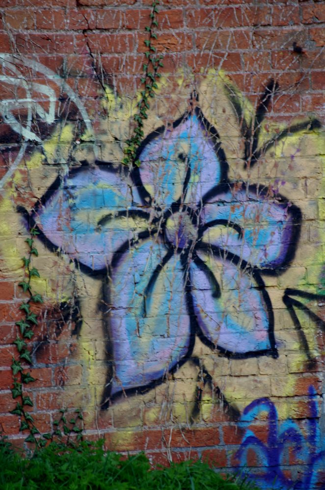 "WALL" Flower