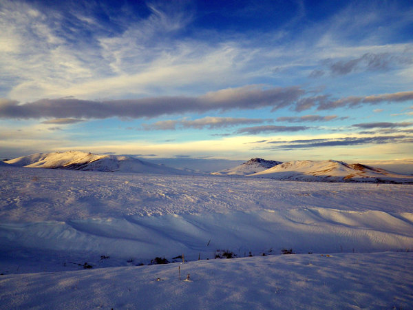 Another Snowy Scene