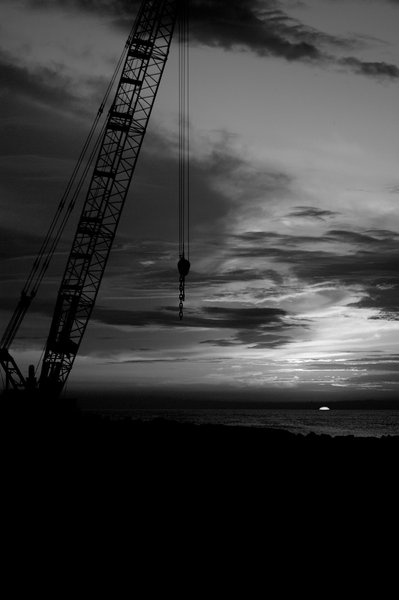 Crane at sunset Espinho Portugal