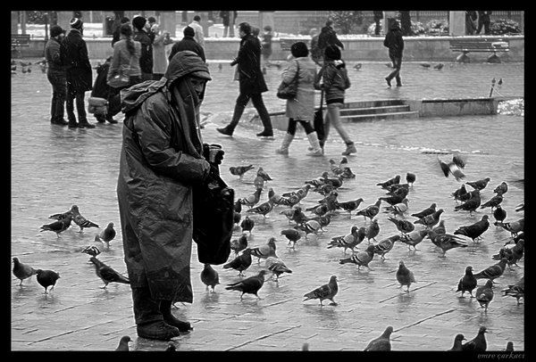 feeding pigeons