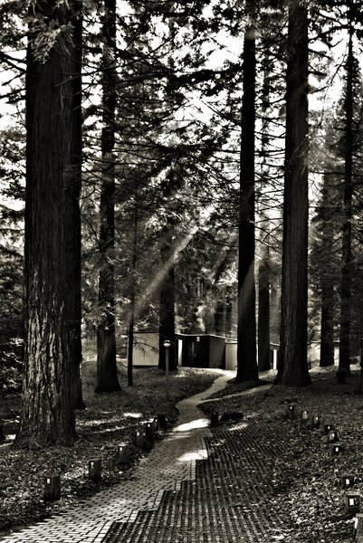 Follow The Yellow Brick Road
