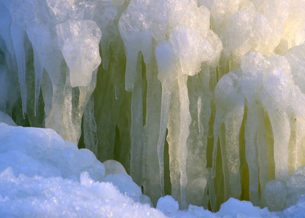 Frozen