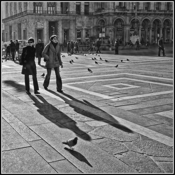 Long Shadows