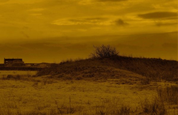 Mellow yellow