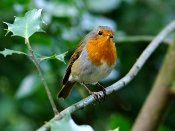 On guard