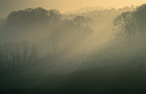 rays through the mist