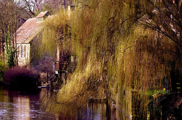 Riverside Knaresborough