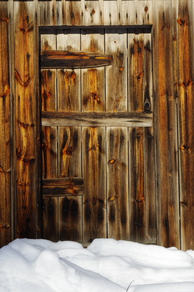 Shed door