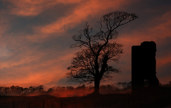 Shepherd's Delight