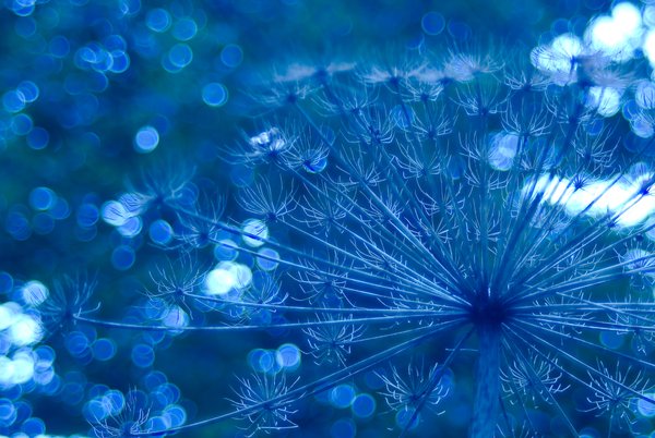 Sparkling Blue Imagination