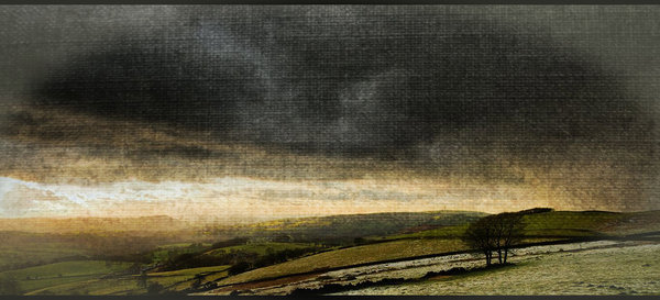 Textured Landscape