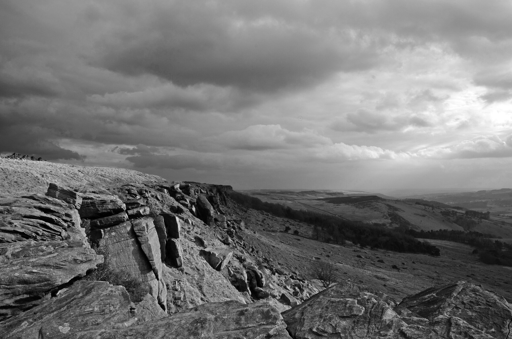 BW Storm Brewing