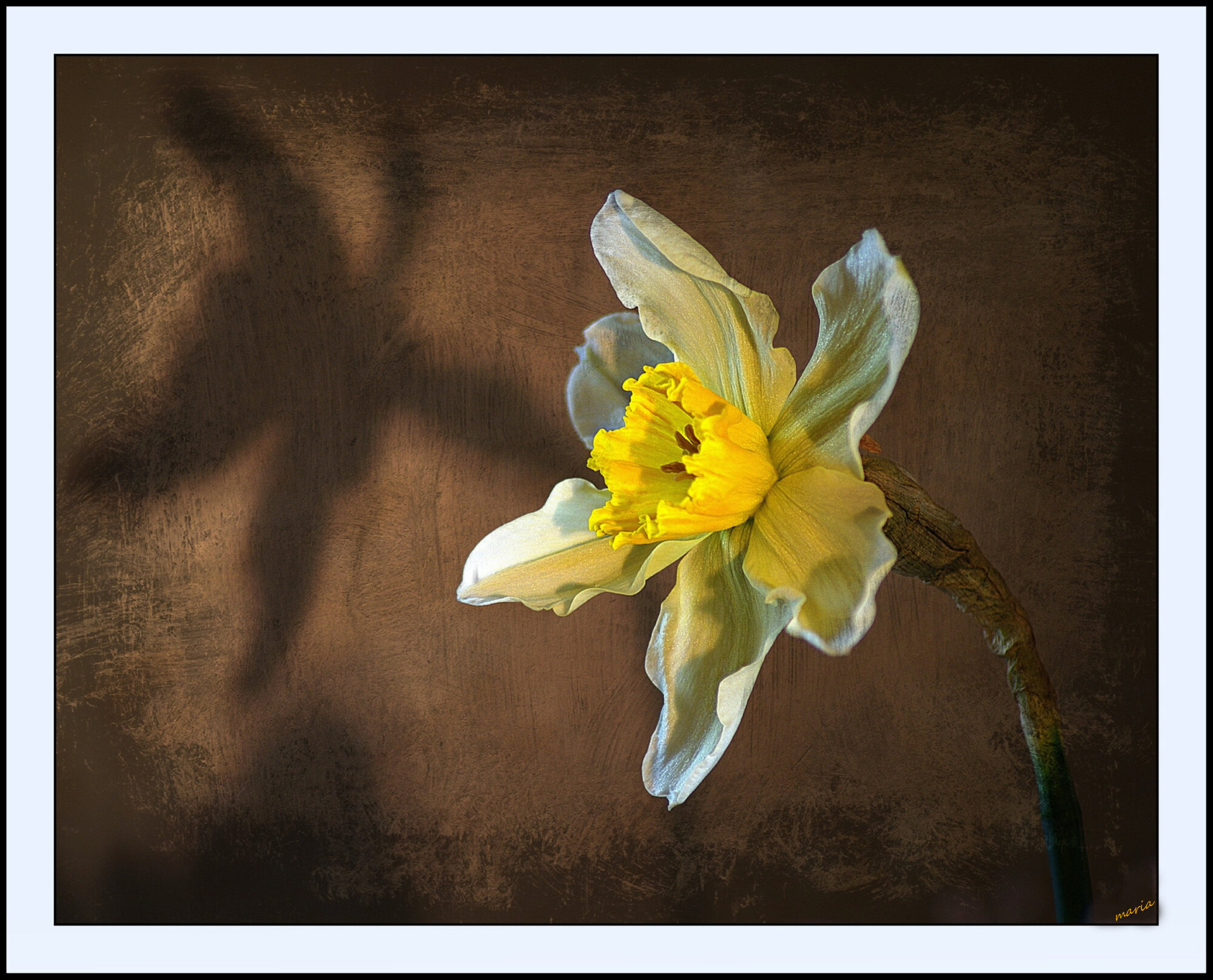 Narcissus and his shadow, as apposed to his reflection.