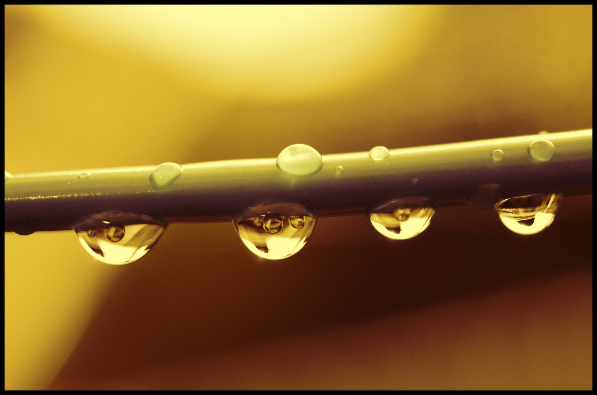 Rain drops keep falling.