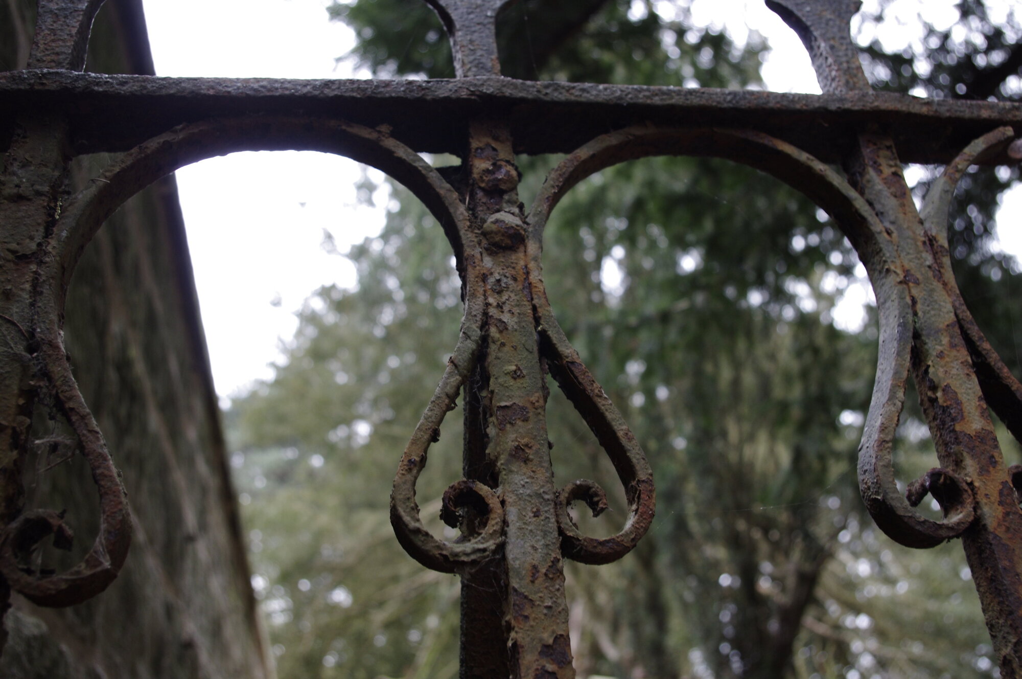 Rusty Gate