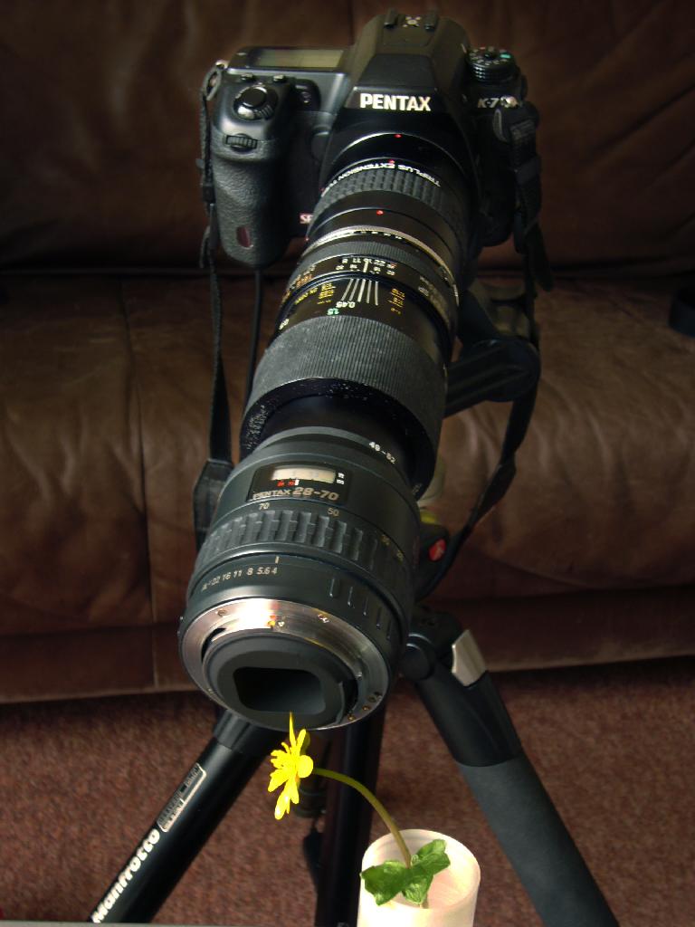 Setup for 'Bug' photo