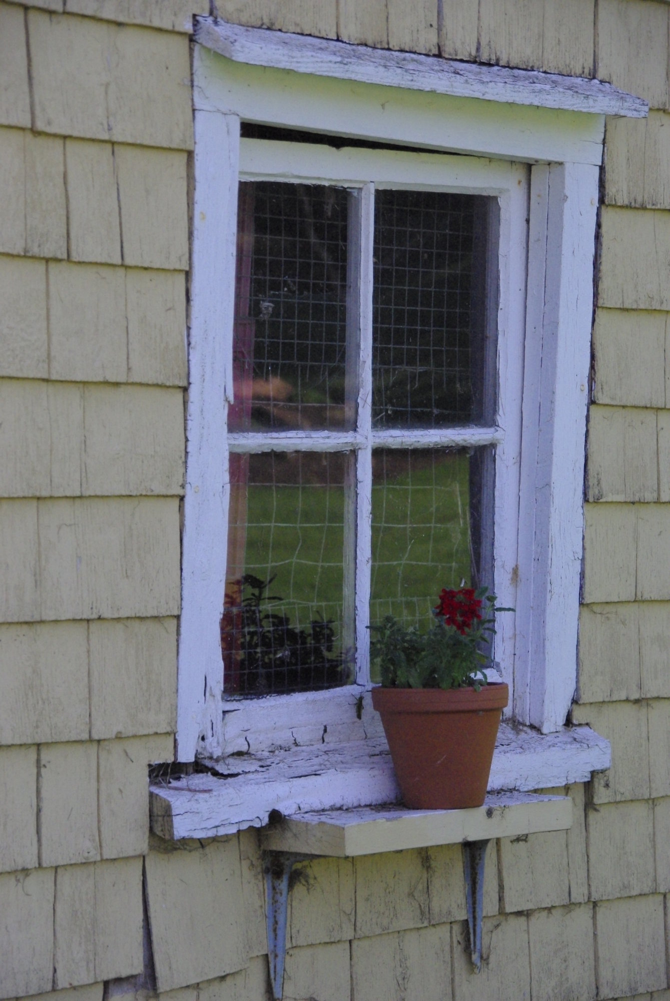 window