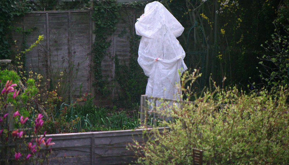 A Ghost or the Mother-in-Law all wrapped up!
