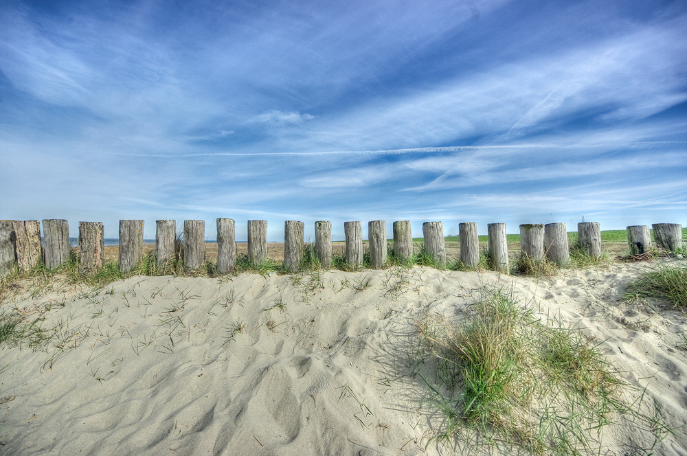 Beach Protection