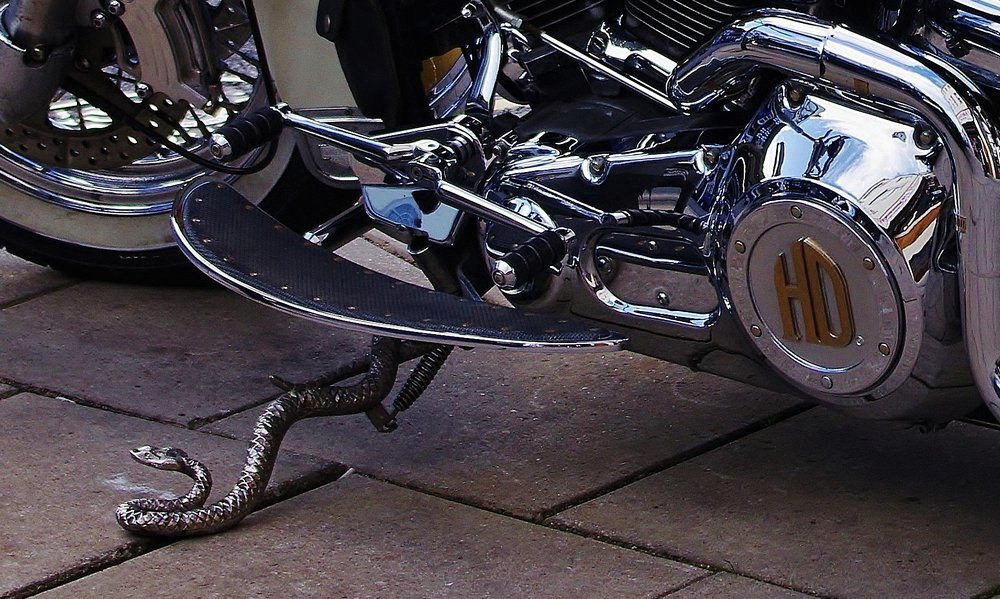 Close-up of the Kick Stand of the Harley