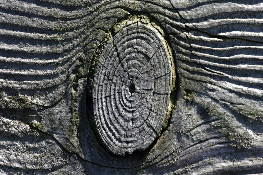 knotty