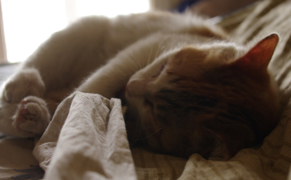 Sleepy