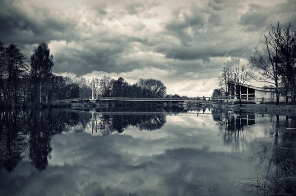 B&W reflections